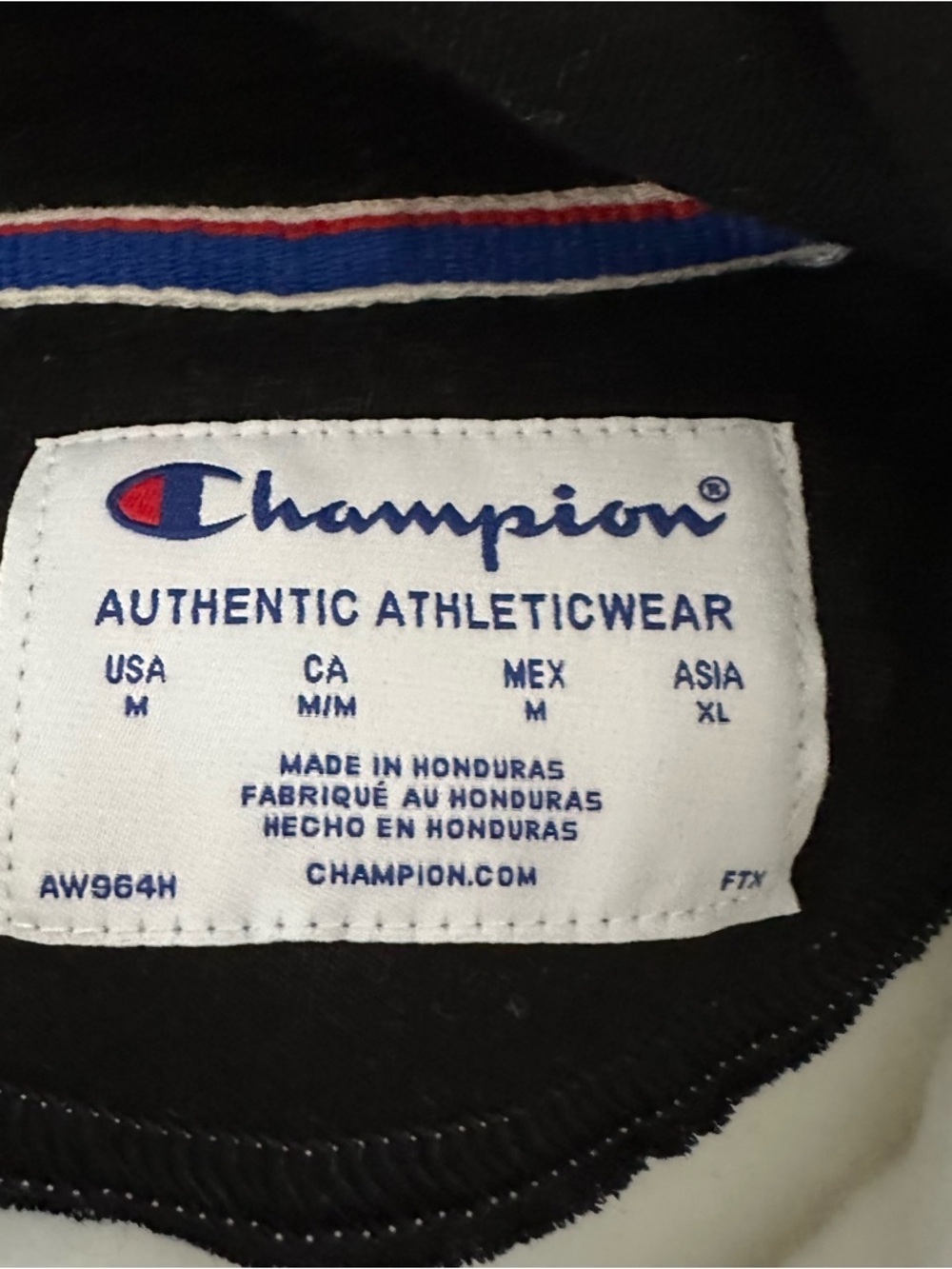 Champion Logo Hoodie - Picture 7 of 8
